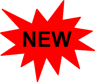 thane web designing company